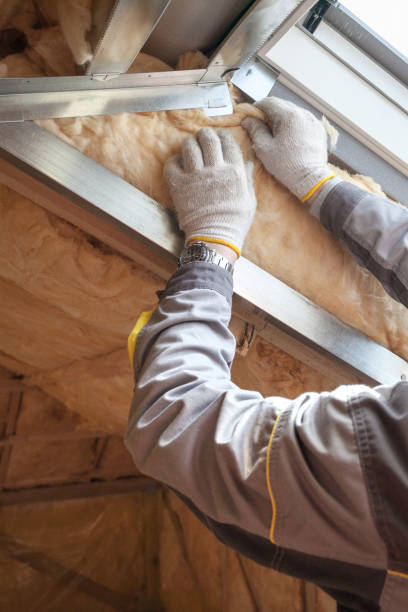 Best Insulation Installation Services in New Rockford, ND